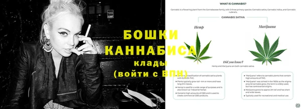 хмурый Белокуриха