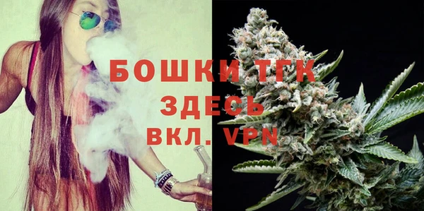 хмурый Белокуриха