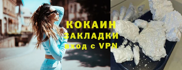 хмурый Белокуриха