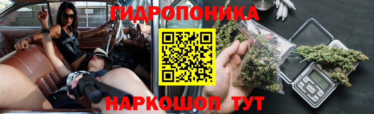 Шишки марихуана план  Бошки Шишки Ganja  МАРИХУАНА тримм  Вход с VPN  Дальнегорск 